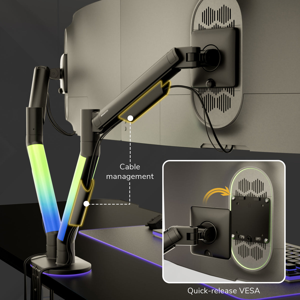 Dual Monitor Mount with RGB Lighting