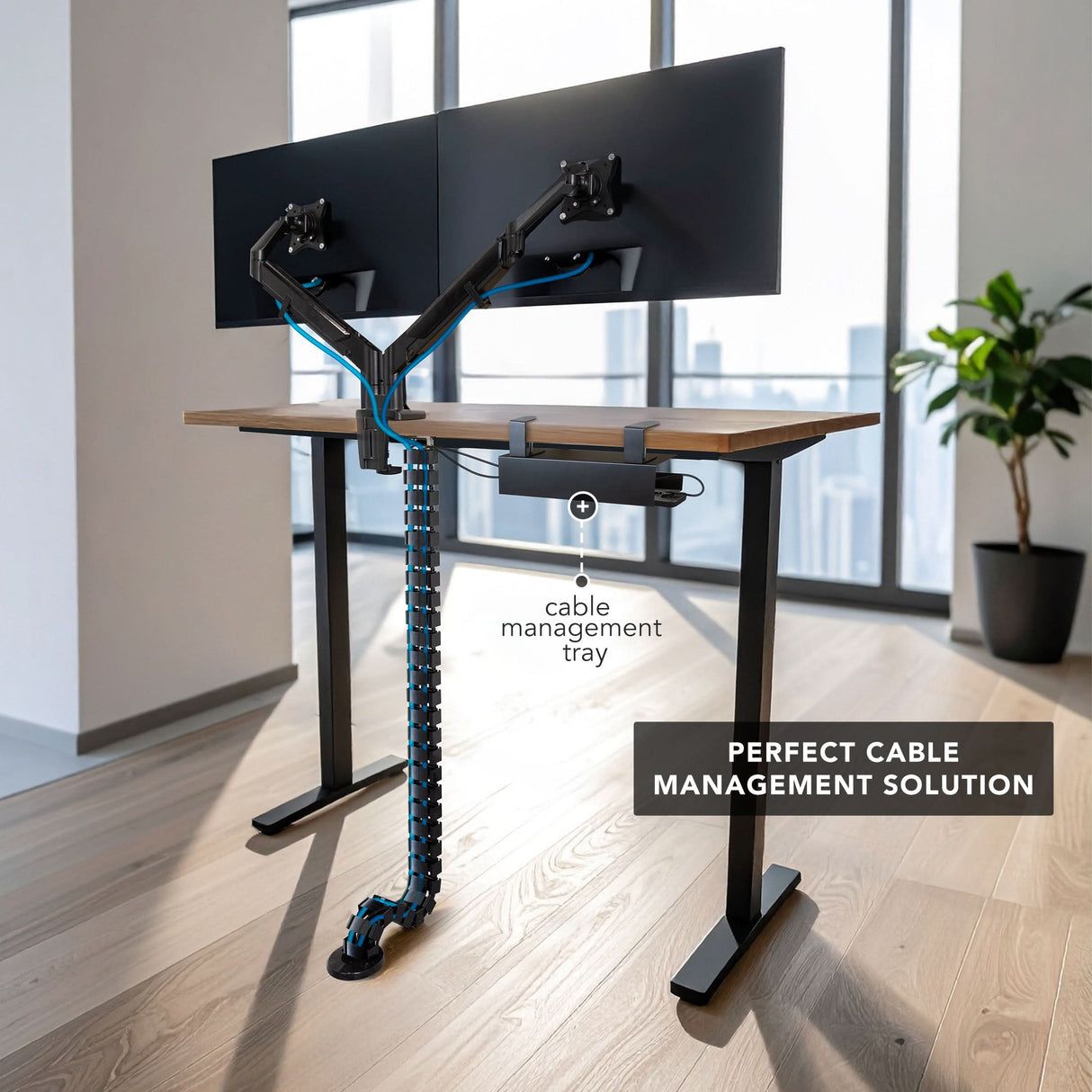 Cable Management Spine A modern sit-stand desk setup featuring dual monitors mounted on adjustable arms with the Cable Management Spine attached underneath, neatly organizing multiple blue cables from the desk surface to the floor. The flexible, snap-together segments protect and guide cables, connecting to a cable management tray under the desk, providing a clean, clutter-free workspace ideal for varied desk heights and active office environments.