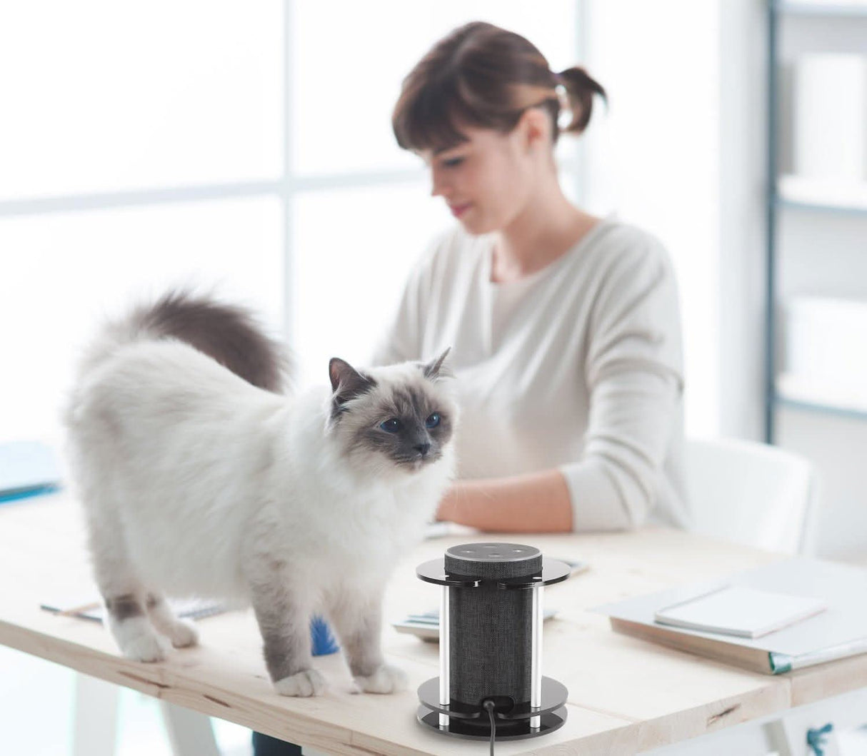 Amazon Echo Stand Speaker Stand - Amazon Echo Stand - Mount-It! - MI-SB56