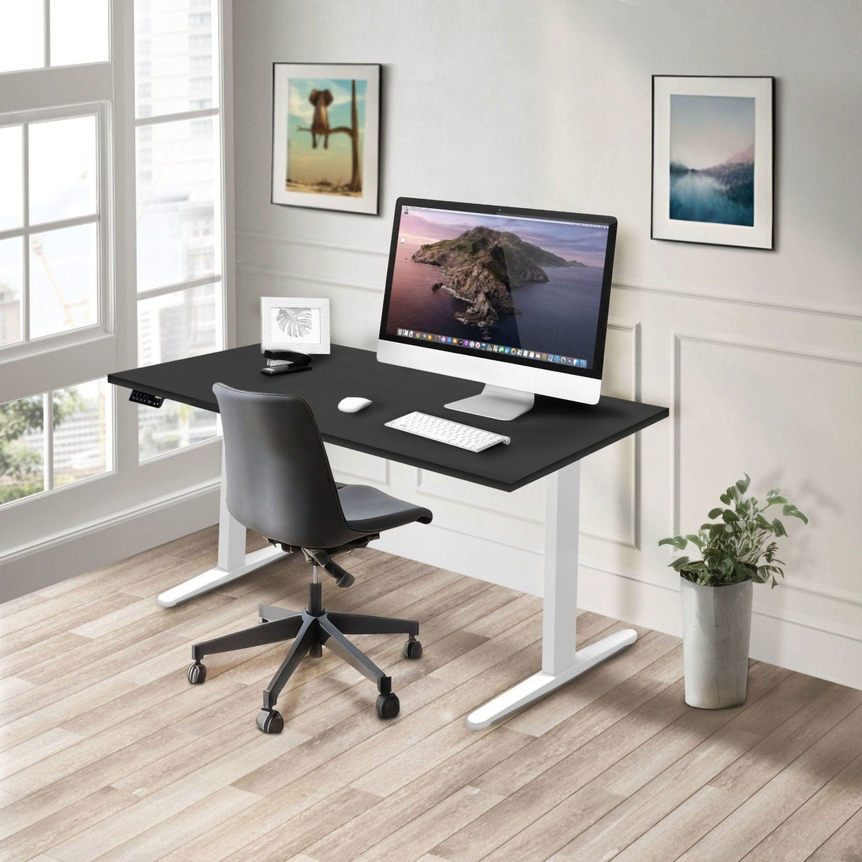 Dual Motor Electric Standing Desk with 55" Tabletop - White Base Standing Desk - Dual Motor Electric Standing Desk with 55" Tabletop - White Base - Mount-It! -