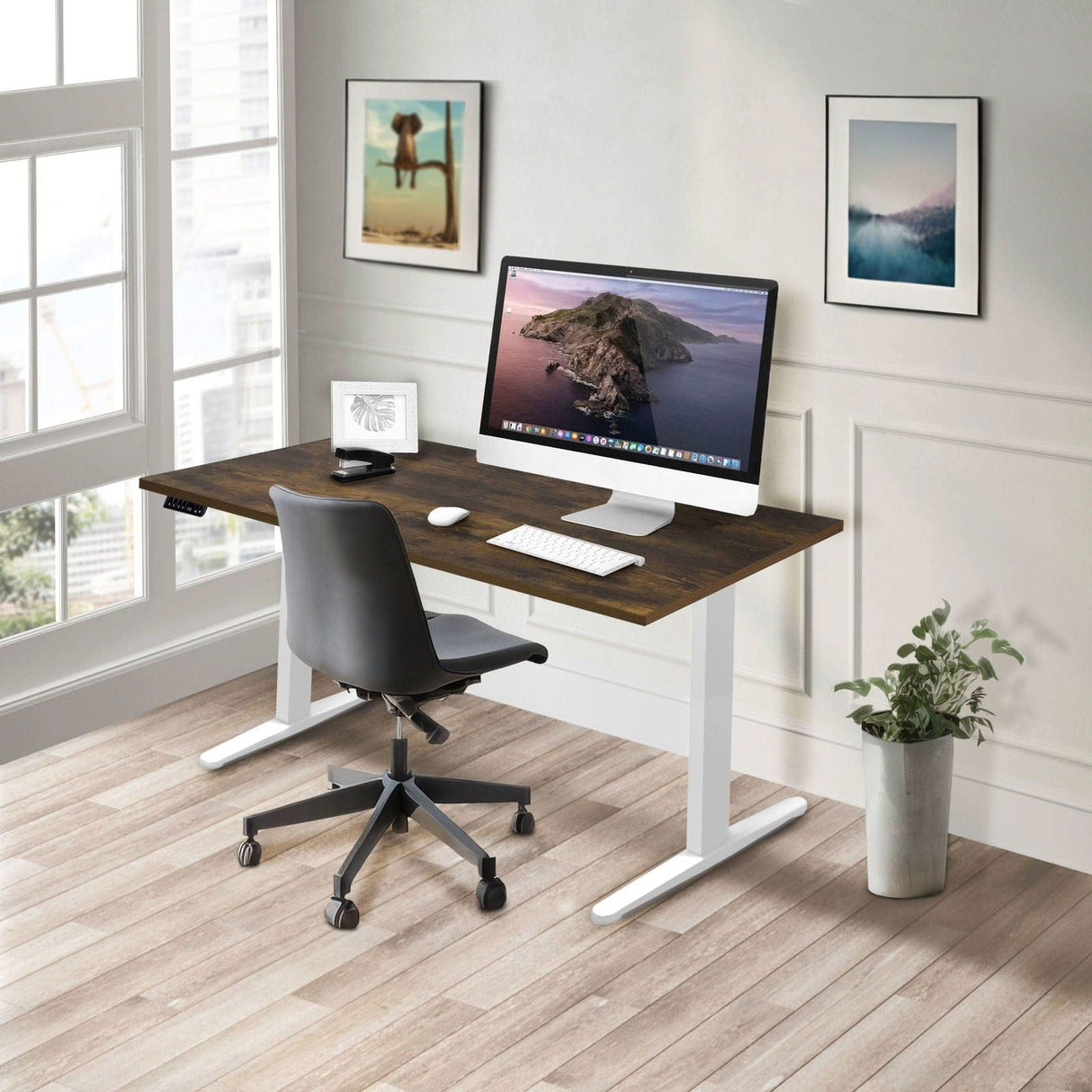 Dual Motor Electric Standing Desk with 55" Tabletop - White Base Standing Desk - Dual Motor Electric Standing Desk with 55" Tabletop - White Base - Mount-It! -