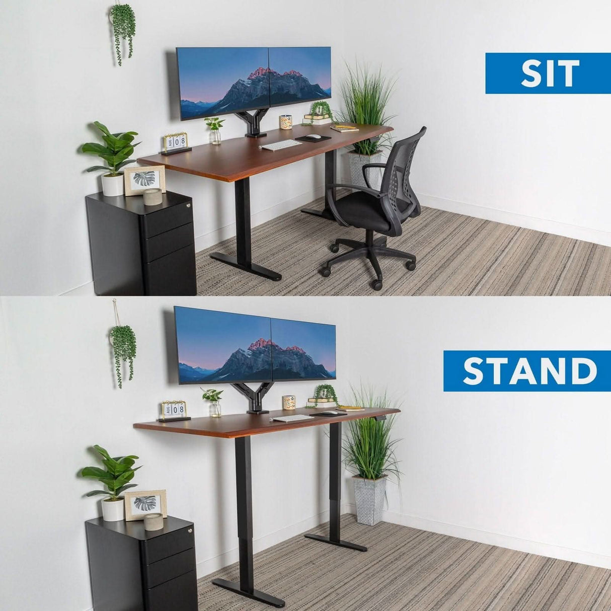 Dual Motor Electric Standing Desk with 72" Tabletop - Black Base Standing Desk - Dual Motor Electric Standing Desk with 72" Tabletop - Black Base - Mount-It! -