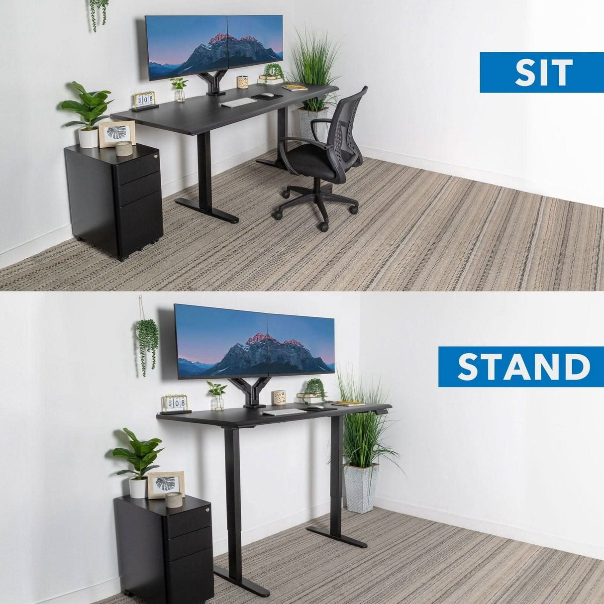 Dual Motor Electric Standing Desk with 72" Tabletop - Black Base Standing Desk - Dual Motor Electric Standing Desk with 72" Tabletop - Black Base - Mount-It! -