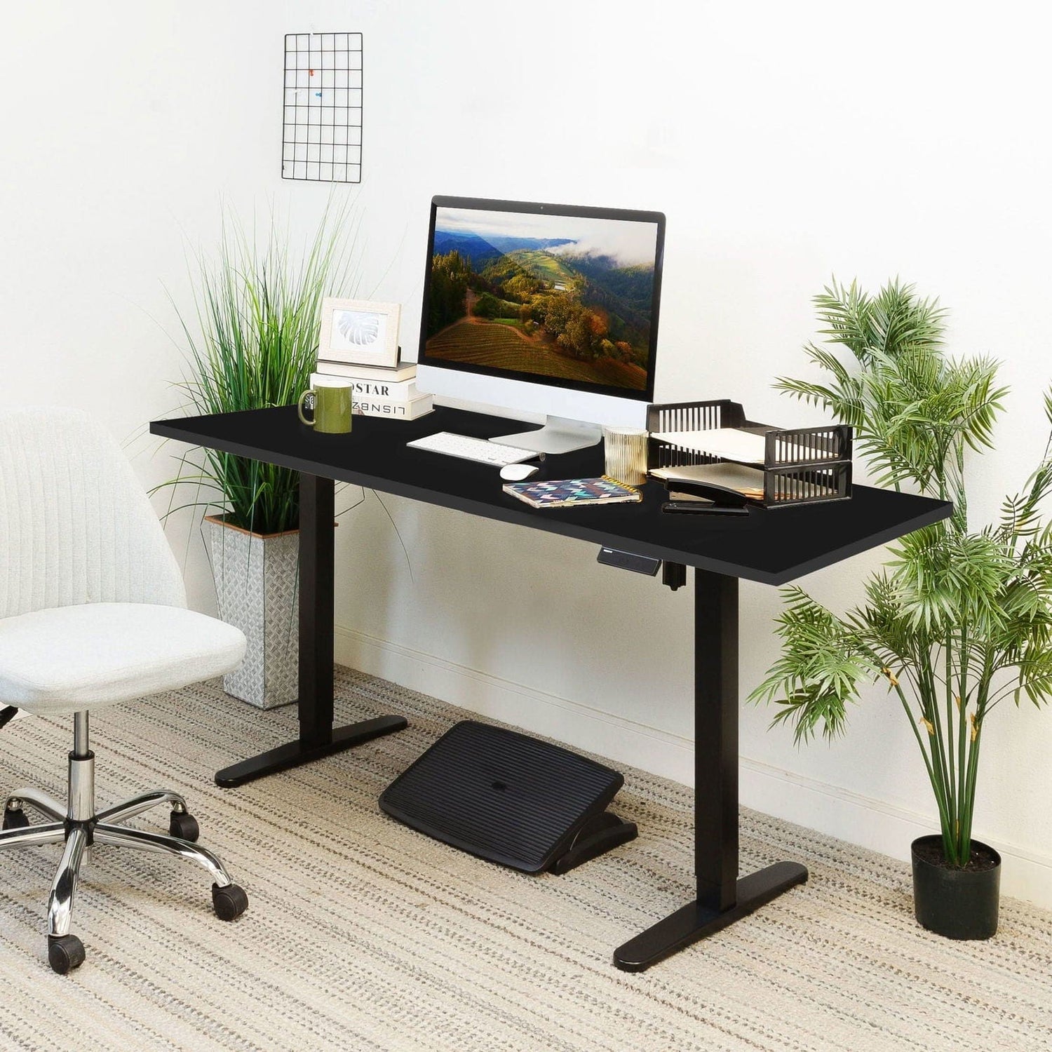 Standing Desk - Electric Standing Desk with 55" Tabletop - Black Base - Mount-It! -