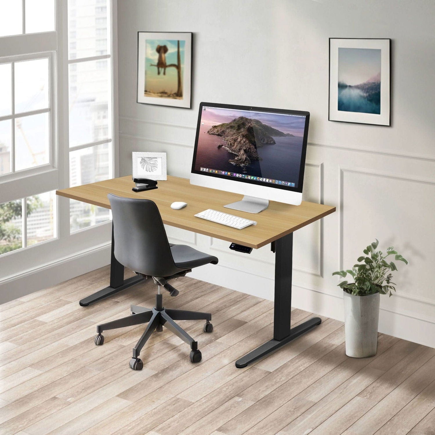 Standing Desk - Electric Standing Desk with 55" Tabletop - Black Base - Mount-It! -