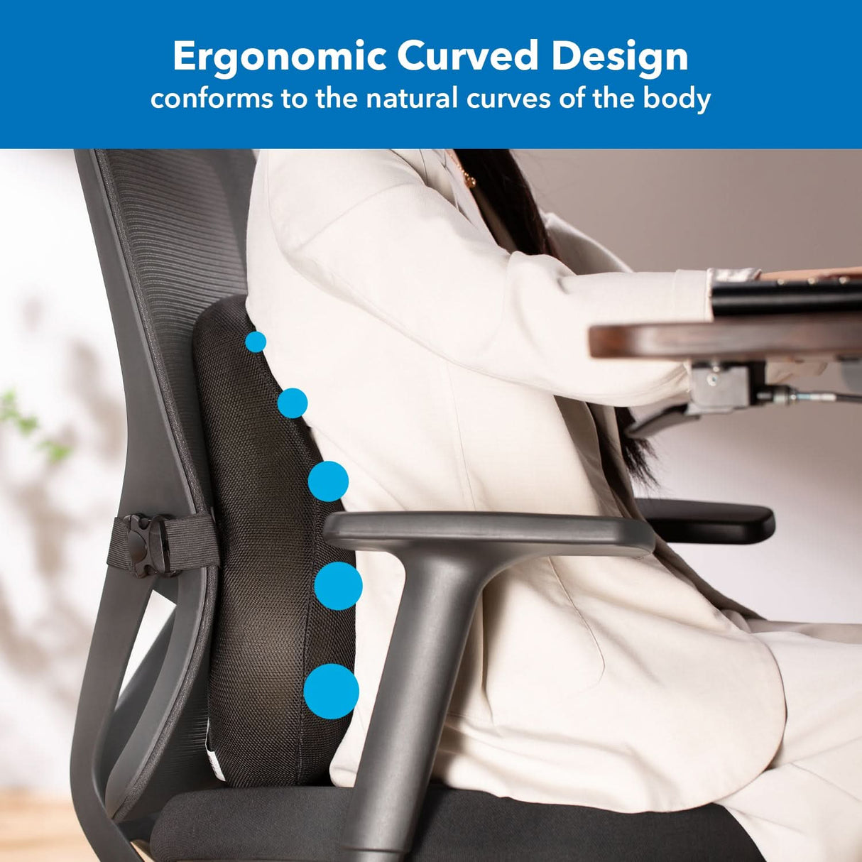 Ergo Collection Curved Back Support Cushion - Ergo Collection Curved Back Support - Mount-It! - MI-1105