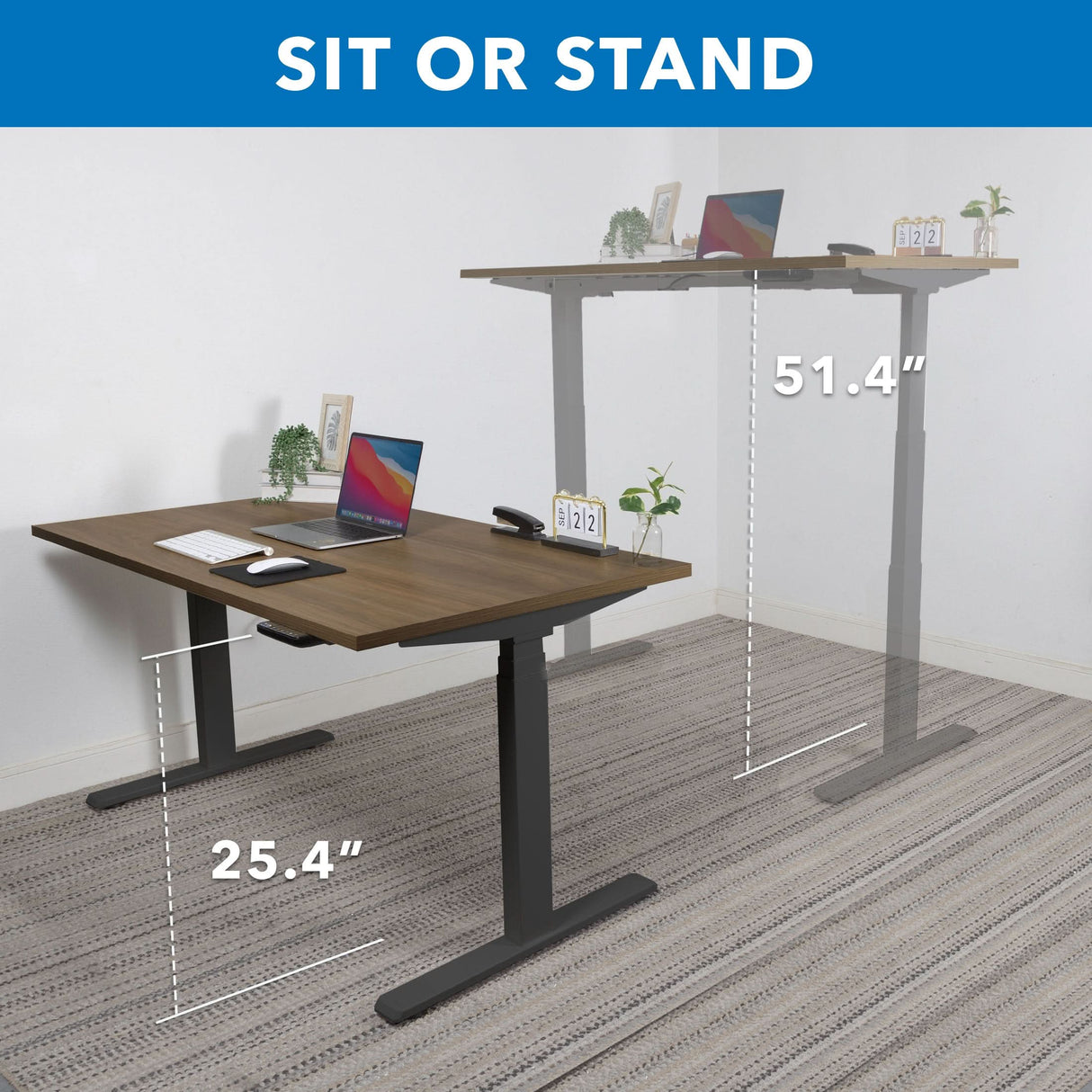 Ultimate Dual Motor Electric Standing Desk with 55" Tabletop Standing Desk - Ultimate Dual Motor Electric Standing Desk with 55" Tabletop - Black Base - Mount-It! -