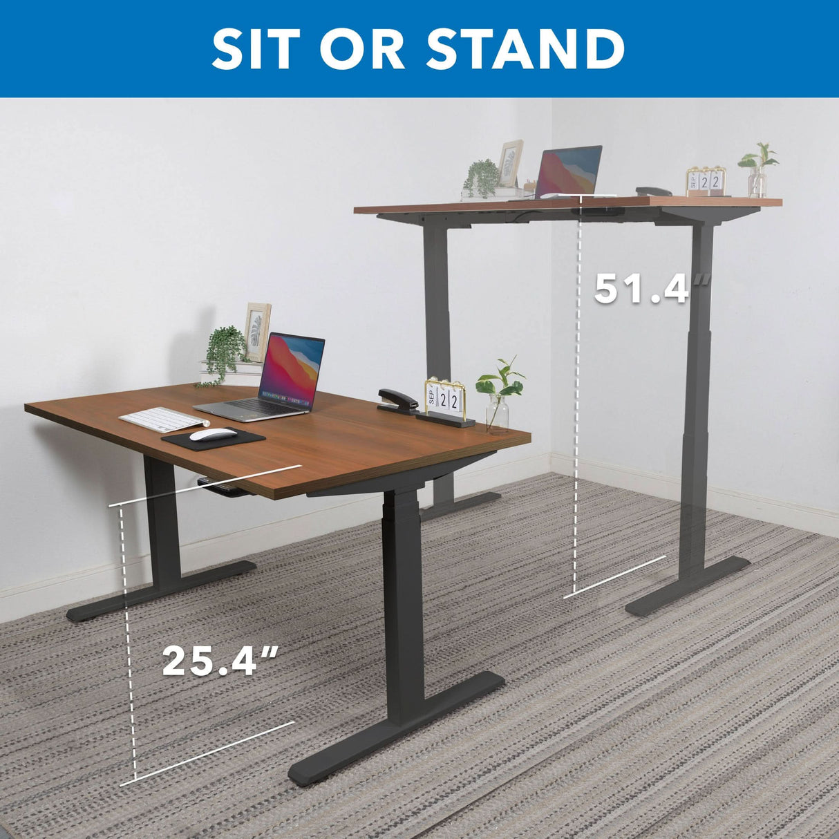 Ultimate Dual Motor Electric Standing Desk with 55" Tabletop Standing Desk - Ultimate Dual Motor Electric Standing Desk with 55" Tabletop - Black Base - Mount-It! -