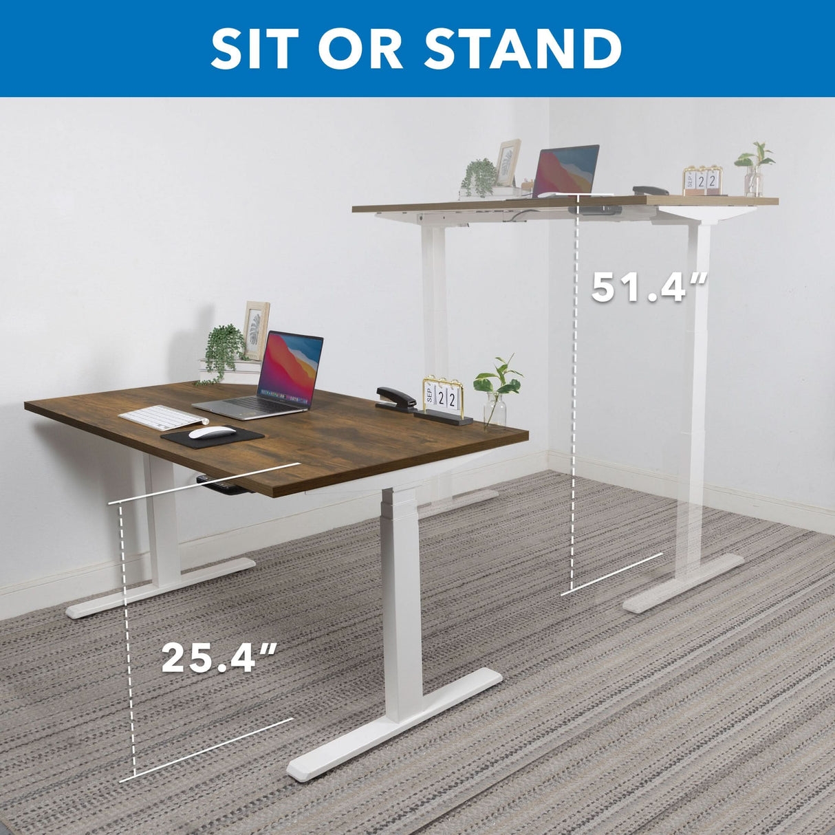 Ultimate Dual Motor Electric Standing Desk with 55" Tabletop Ultimate Dual Motor Electric Standing Desk with 55" Tabletop