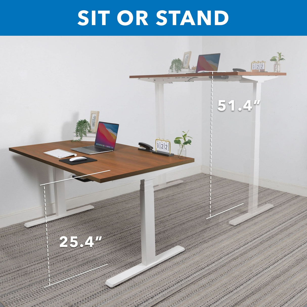 Ultimate Dual Motor Electric Standing Desk with 55" Tabletop Ultimate Dual Motor Electric Standing Desk with 55" Tabletop