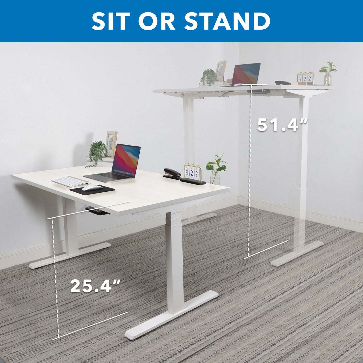 Ultimate Dual Motor Electric Standing Desk with 55" Tabletop Ultimate Dual Motor Electric Standing Desk with 55" Tabletop