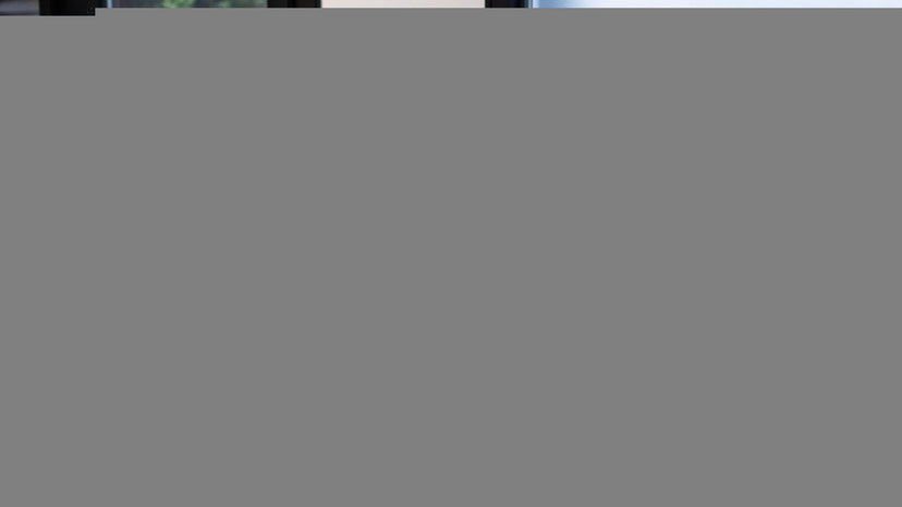 Top Standing Desk Converter Reviews for 2025