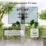 Weatherproof Column TV Mount