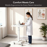 Sit-Stand Mobile Laptop Cart