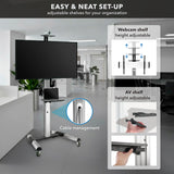 Heavy Duty Mobile TV Cart