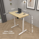 Standing Desk - Compact Electric Standing Desk with 48" Tabletop - Mount-It! -