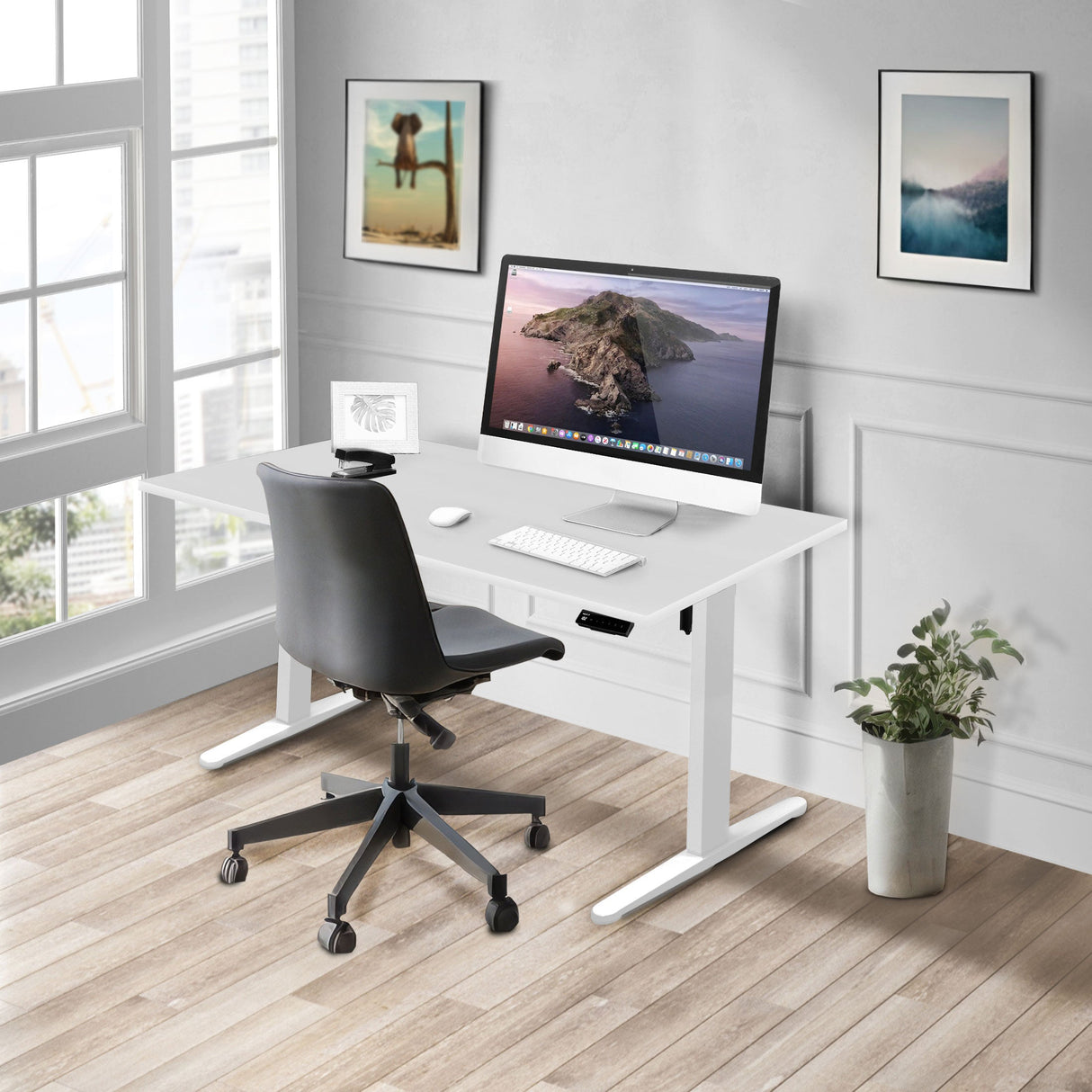 Standing Desk - Electric Standing Desk with 55" Tabletop - White Base - Mount-It! -