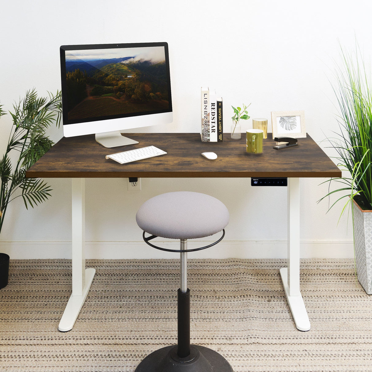 Standing Desk - Electric Standing Desk with 55" Tabletop - White Base - Mount-It! -