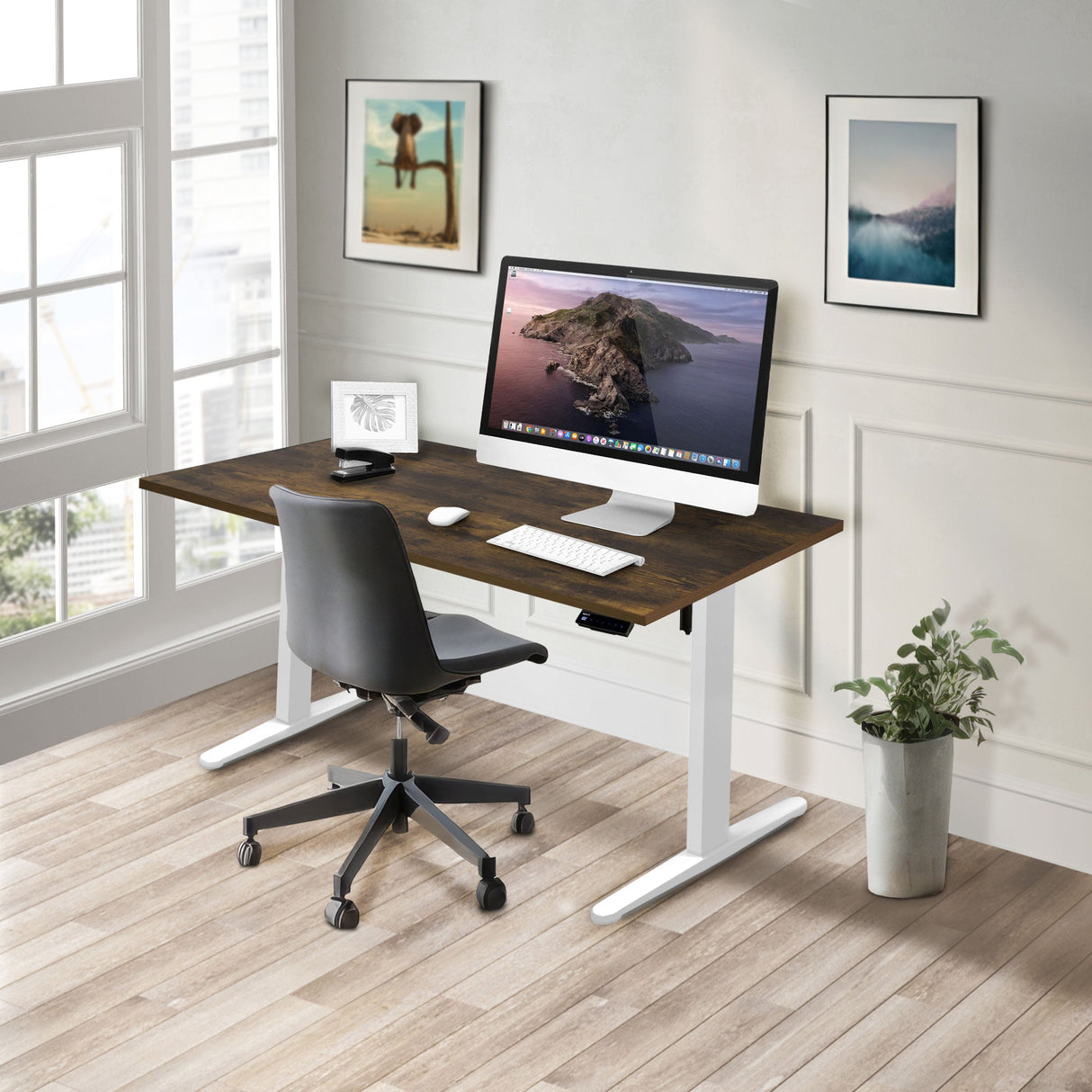 Standing Desk - Electric Standing Desk with 55" Tabletop - White Base - Mount-It! -