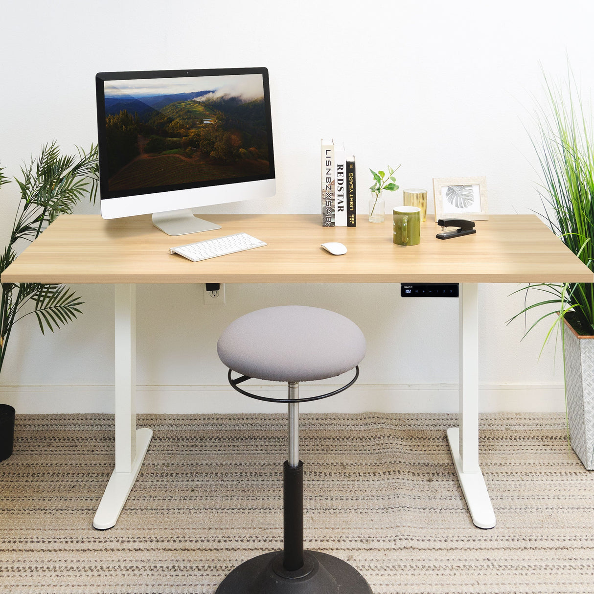 Standing Desk - Electric Standing Desk with 55" Tabletop - White Base - Mount-It! -