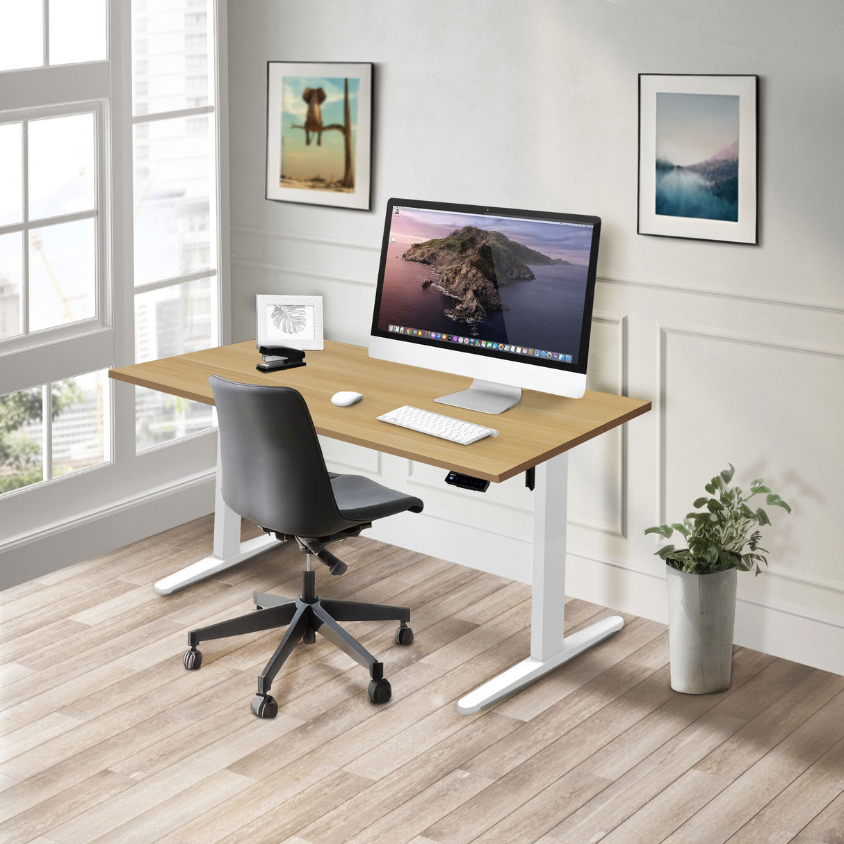 Standing Desk - Electric Standing Desk with 55" Tabletop - White Base - Mount-It! -