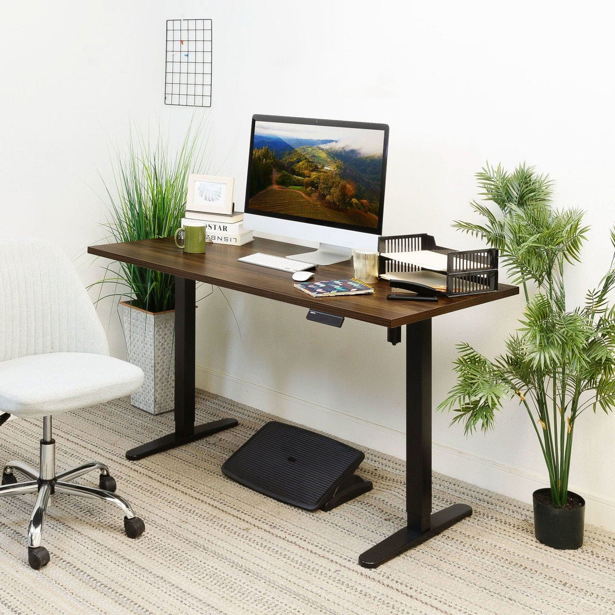 Standing Desk - Single Motor Electric Standing Desk Base - Mount-It! -