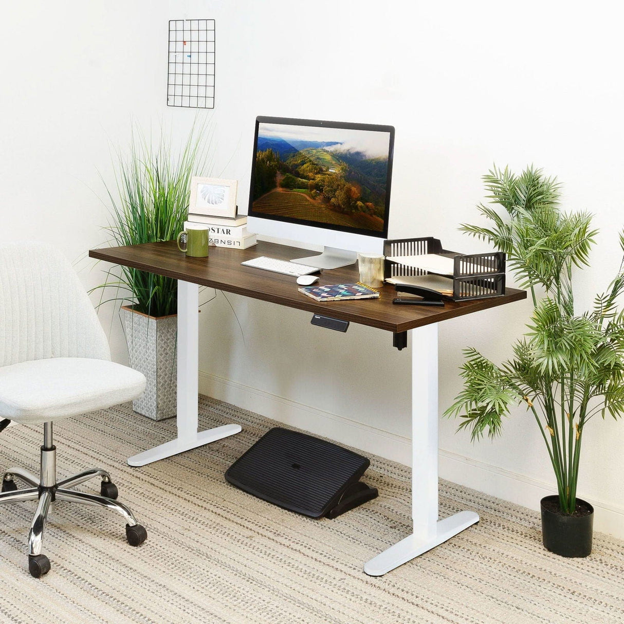 Standing Desk - Single Motor Electric Standing Desk Base - Mount-It! -