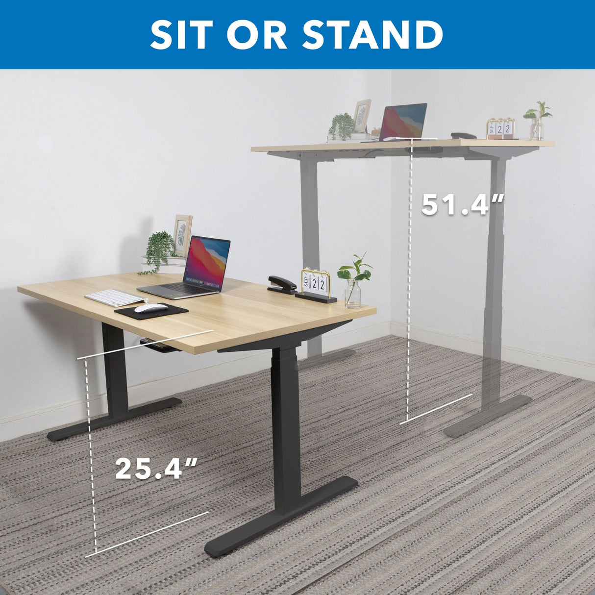 Standing Desk - Ultimate Dual Motor Electric Standing Desk with 55" Tabletop - Black Base - Mount-It! -