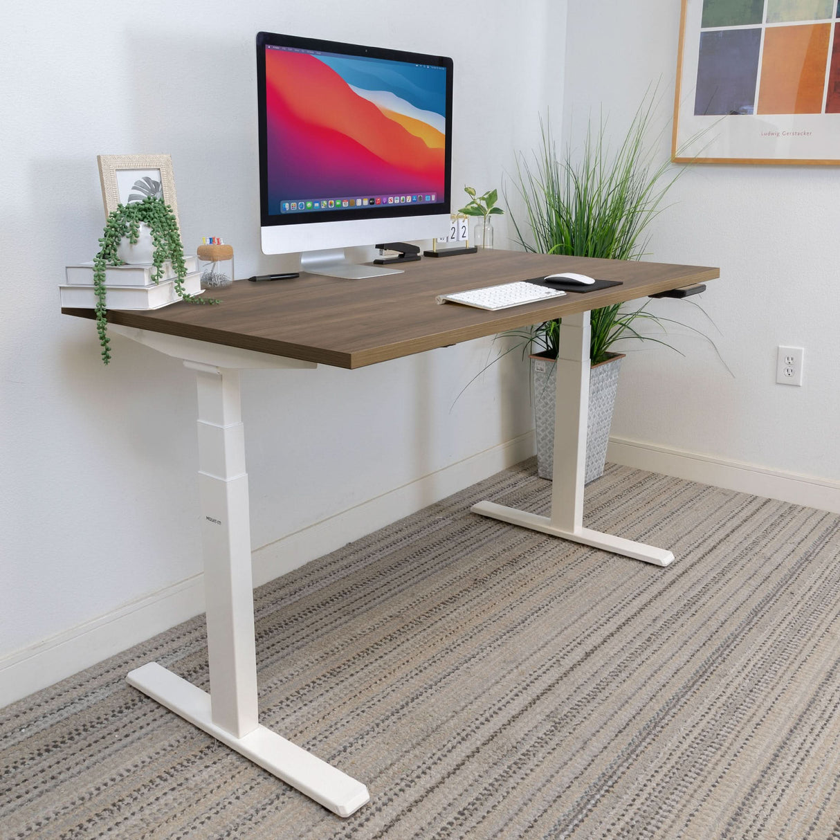 Ultimate Dual Motor Electric Standing Desk with 55" Tabletop
