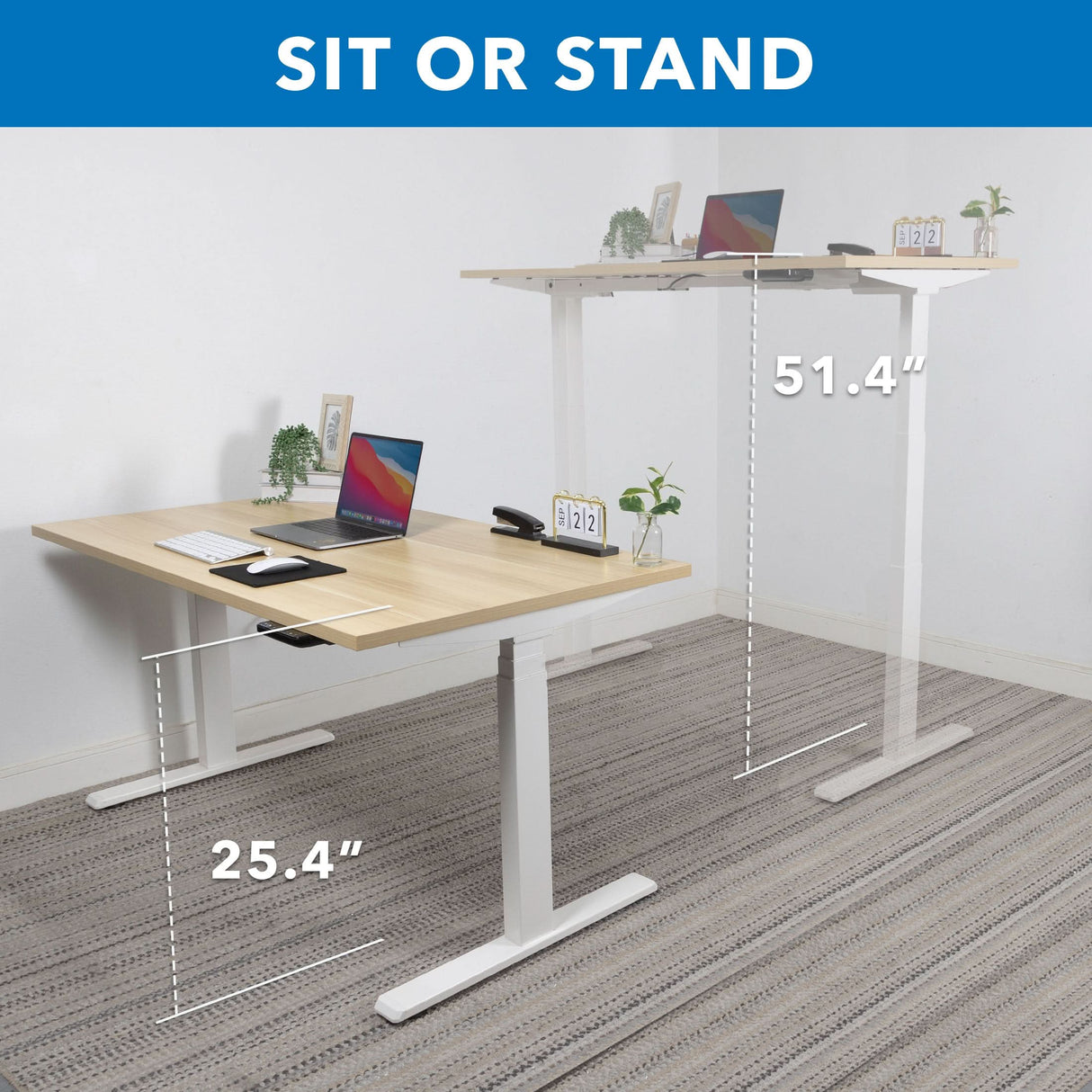 Ultimate Dual Motor Electric Standing Desk with 55" Tabletop
