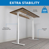 Ultimate Dual Motor Electric Standing Desk with 55" Tabletop