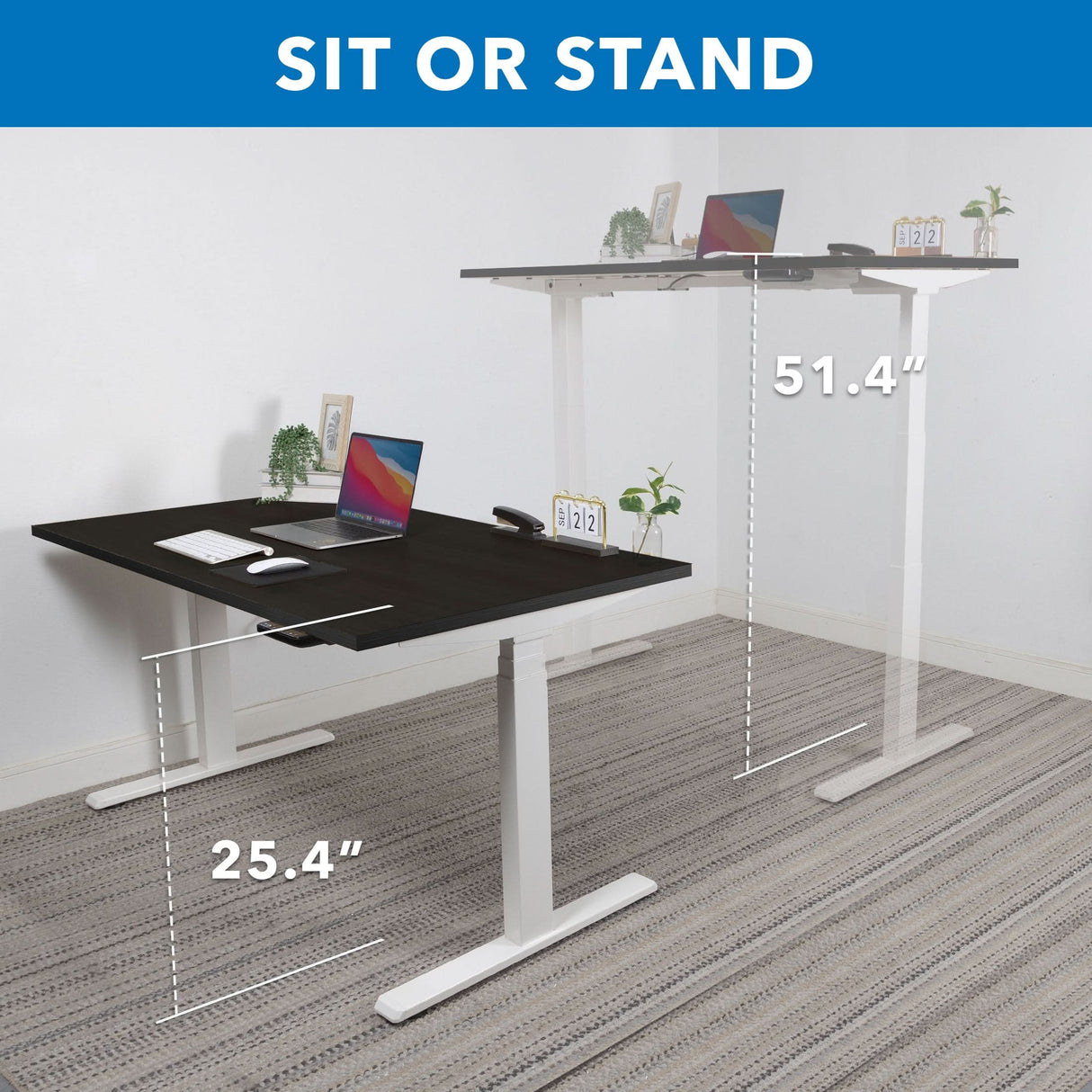 Ultimate Dual Motor Electric Standing Desk with 55" Tabletop