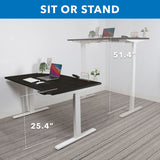 Ultimate Dual Motor Electric Standing Desk with 55" Tabletop